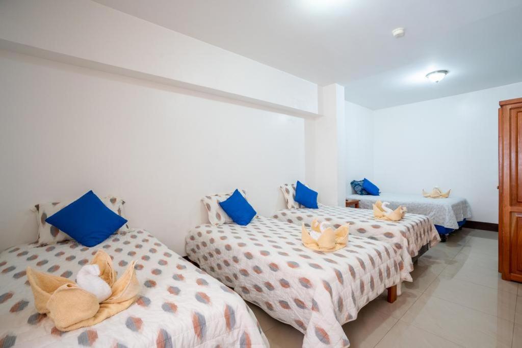 Hostal Tongo Reef بويرتو بكويريزو مورينو المظهر الخارجي الصورة