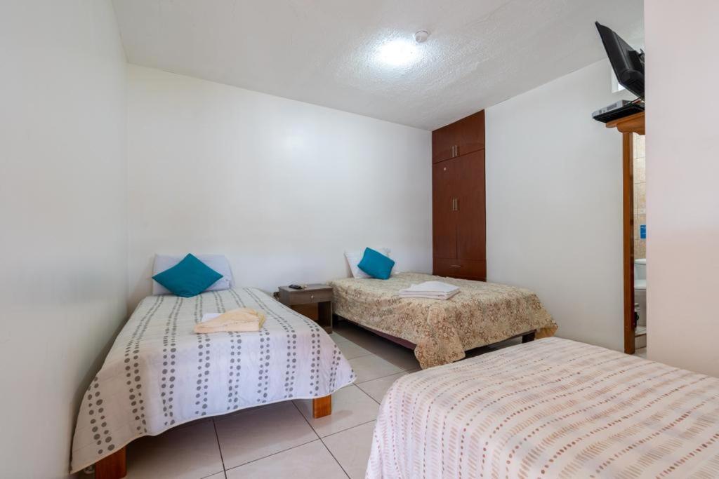 Hostal Tongo Reef بويرتو بكويريزو مورينو المظهر الخارجي الصورة